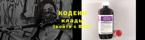 твердый Вяземский