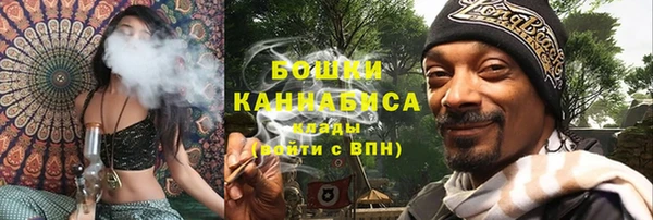 шишки Куйбышев