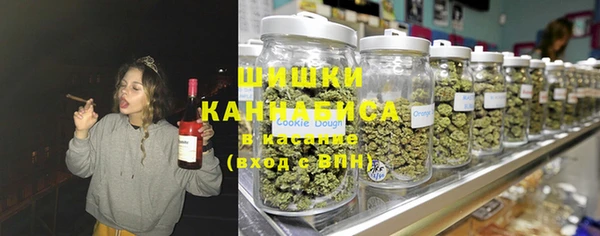 твердый Вяземский