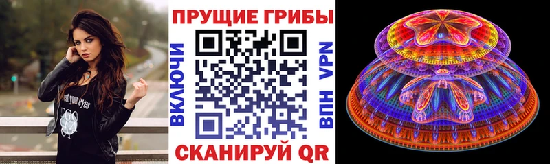 даркнет сайт  Омутнинск  Псилоцибиновые грибы Psilocybine cubensis 
